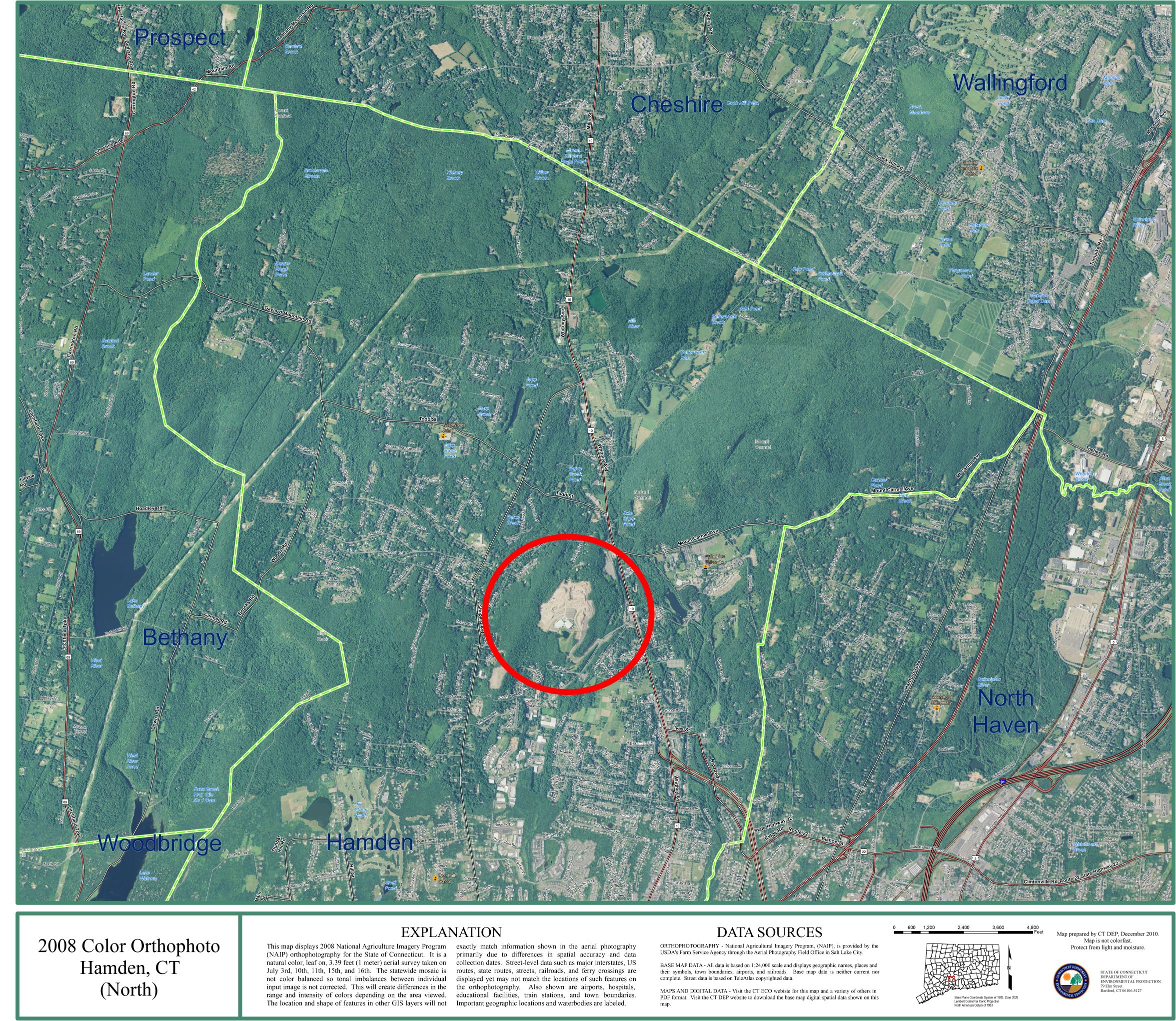 Wildlife sightings are up in Hamden, but experts say the real danger is